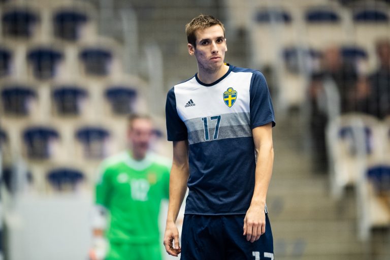 Sverige tappade poäng i EM-kvalet